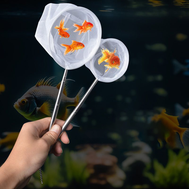 (BF06)Aquarium Fish Fishing Ne - Fishing Equipment Net ulasan dan harga