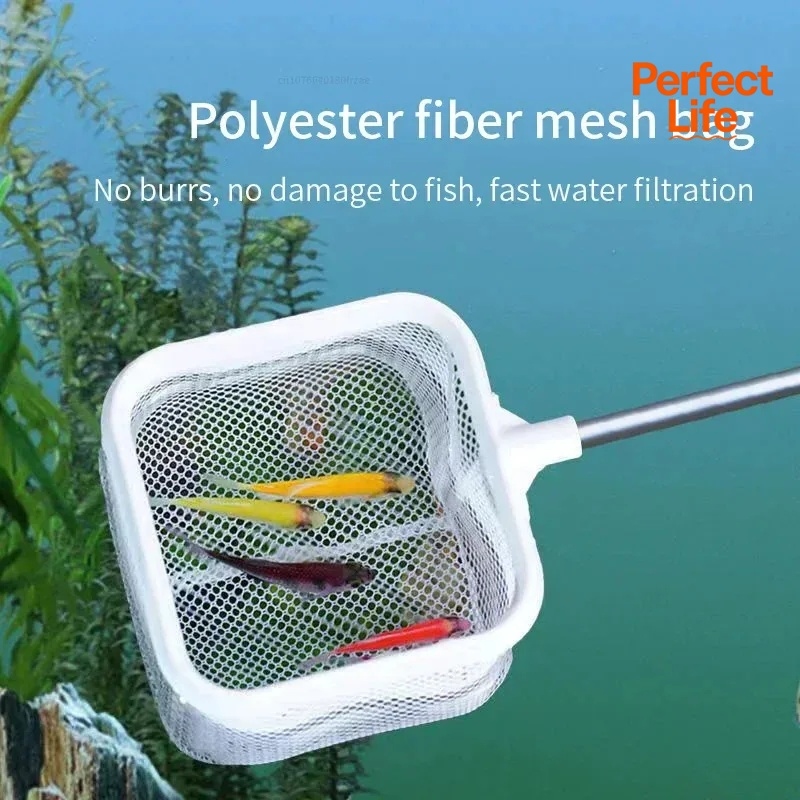 1、2Pcs Stainless Steel Fishing - Fishing Equipment Net ulasan dan harga
