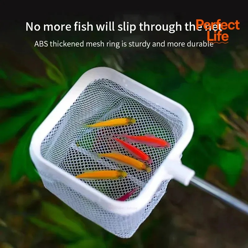 1、2Pcs Stainless Steel Fishing - Fishing Equipment Net ulasan dan harga